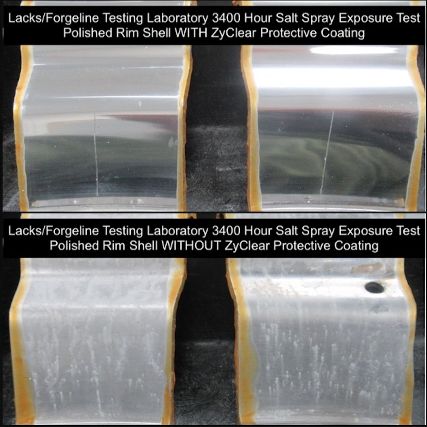 Zyclear Protective Coating Application Kit